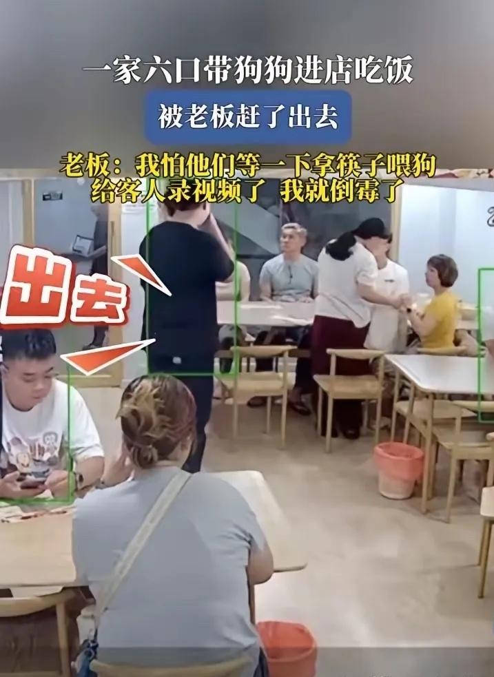 一家六口带宠物狗上桌吃饭，被老板“请”出餐厅。这事儿一出，评论区直接分成了两大阵