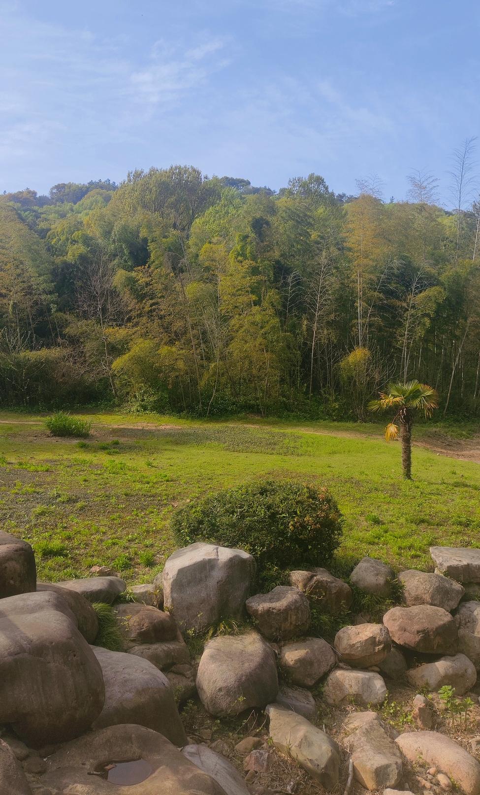 人生各个年龄段的欲望，欲望是画面流转的驱动力，对欲望的满足带来快乐无聊空虚，不满