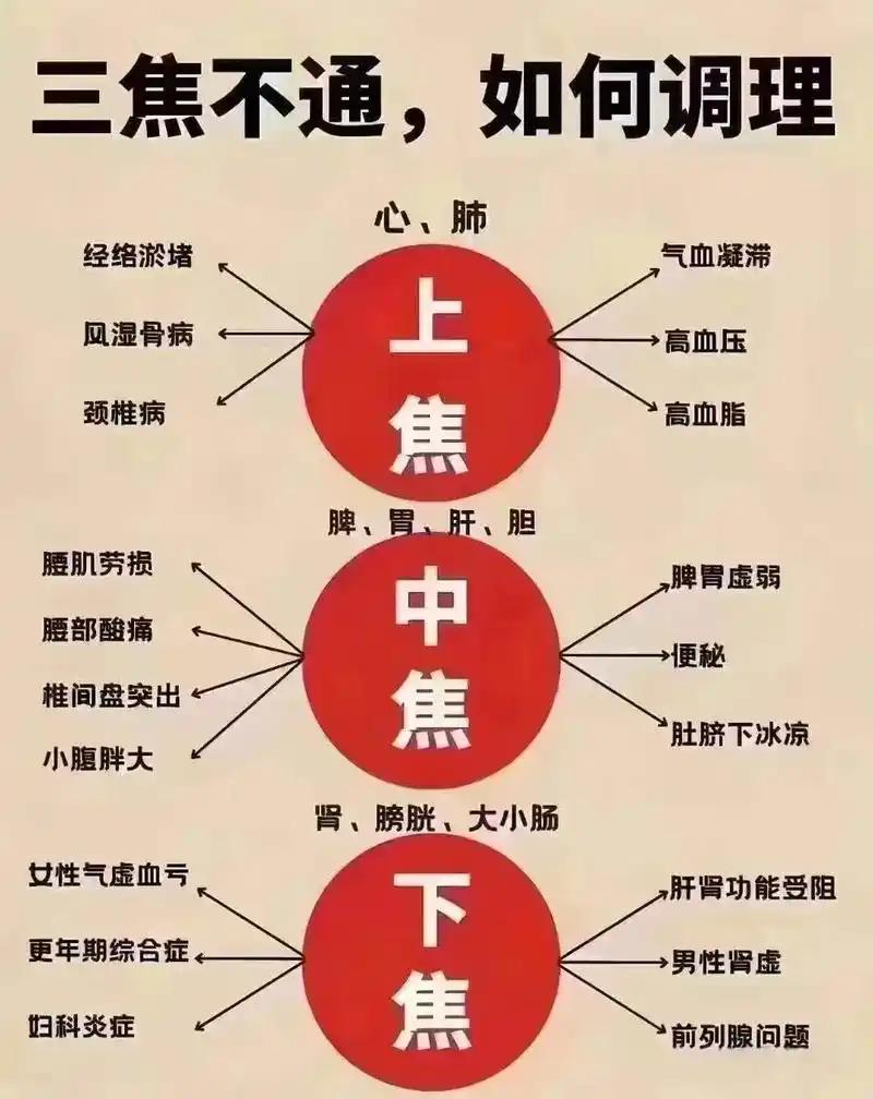 三焦到底是什么？别再当“谜”了！一分钟教你搞懂三焦真相，轻松调理身体，健康从这里
