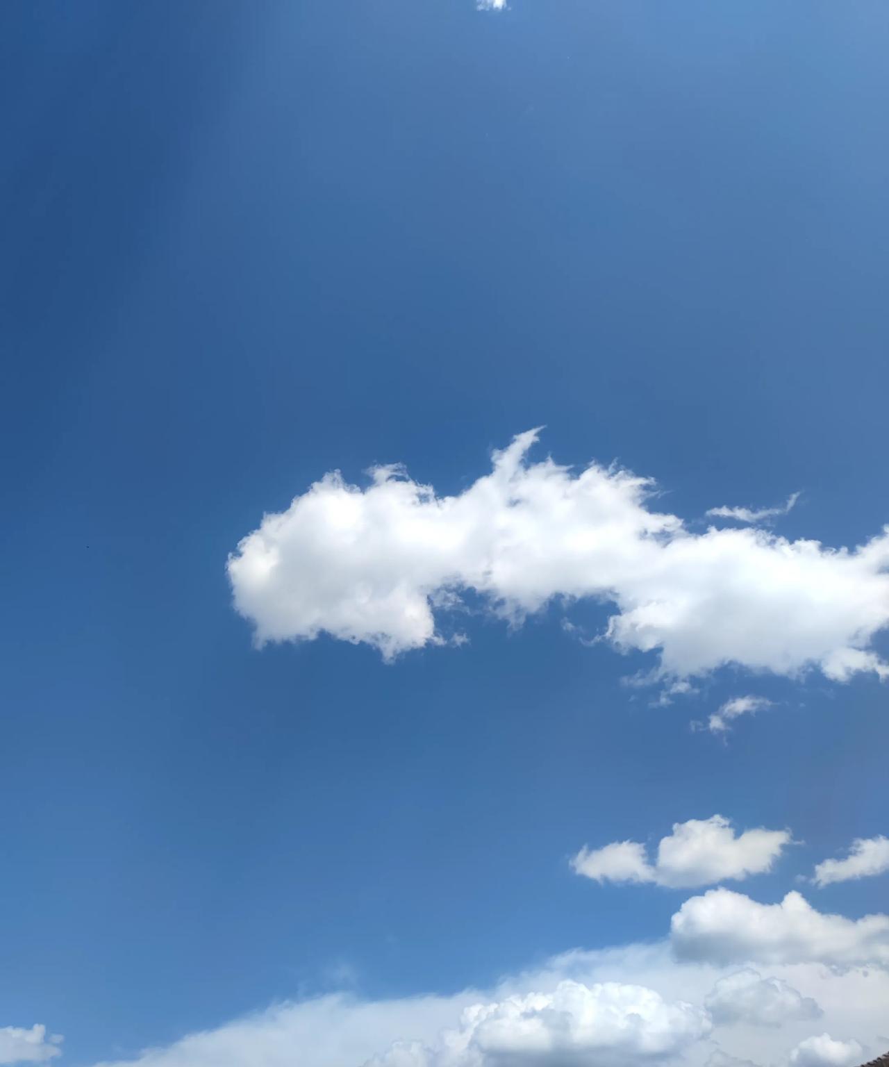 家乡夏日的自然风景。瓦蓝的天空，洁白无瑕的云朵。一只不知品种而肥大的黑白色的