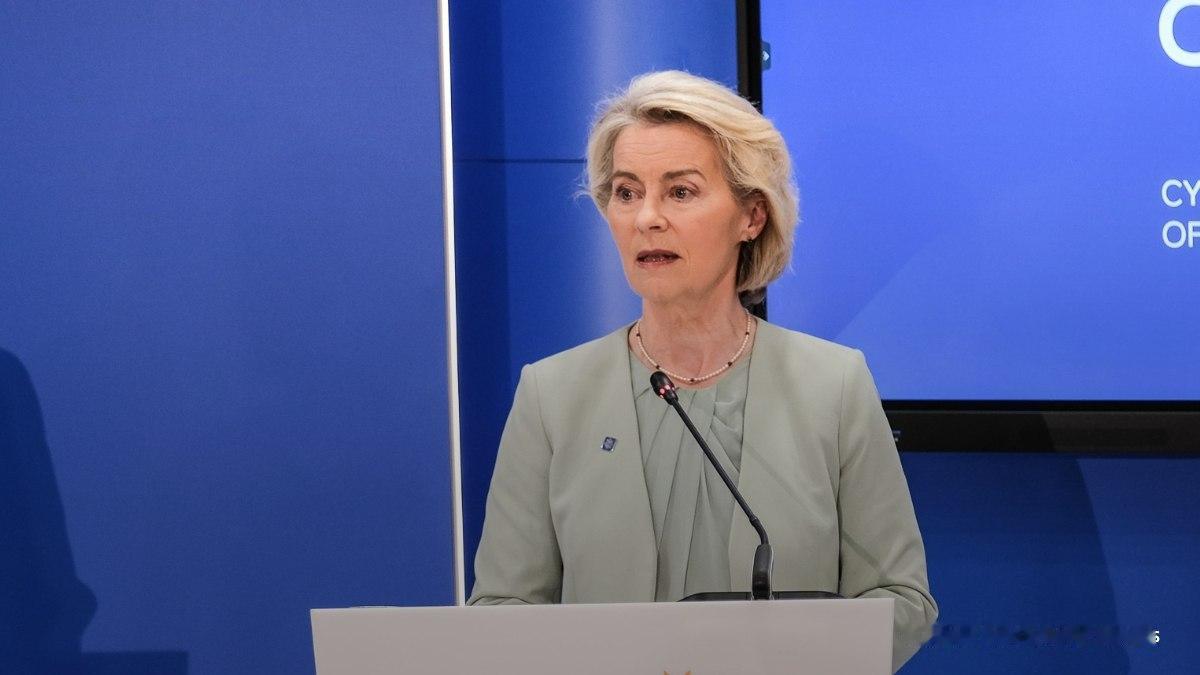 意大利欧洲议会议员万纳奇火力全开，公开嘲讽欧盟委员会主席冯德莱恩。他说：“冯