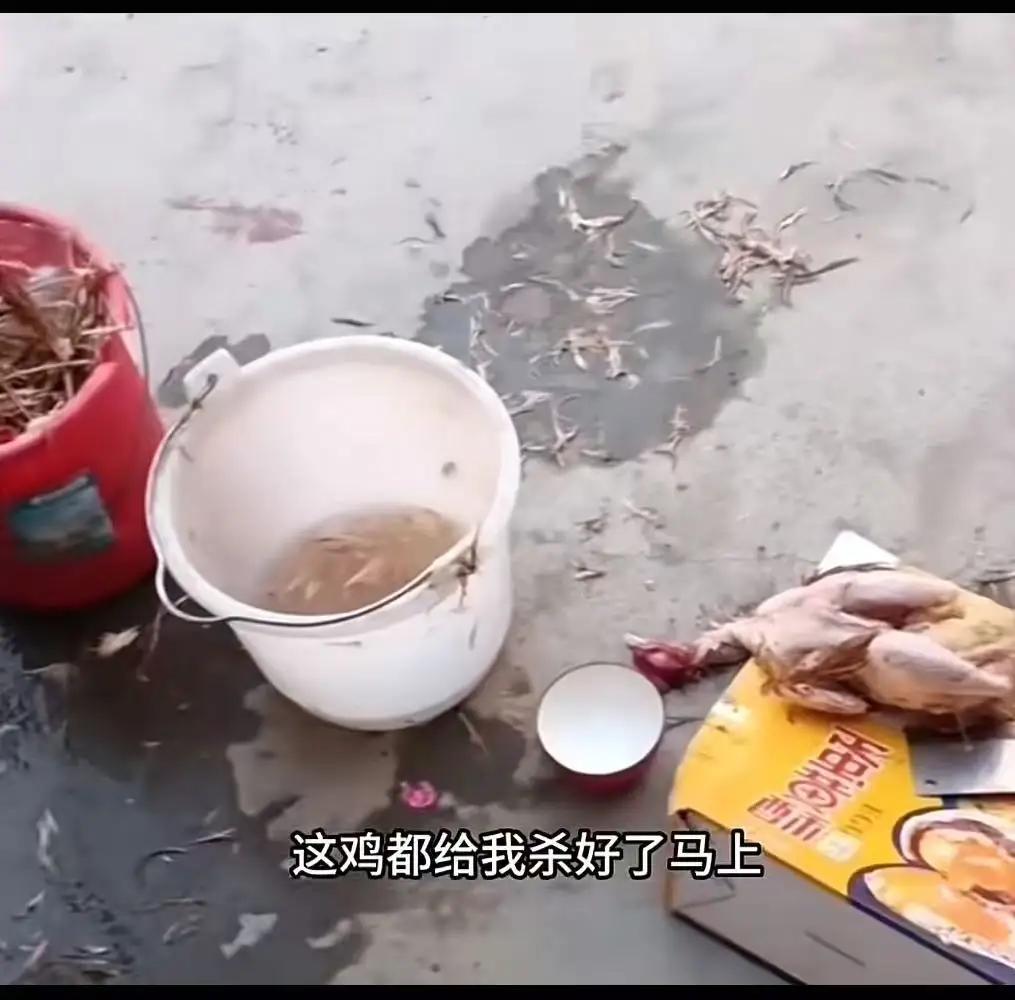 这件事看似是一只鸡的命运，却映射出了家庭教育和孩子内心世界的复杂写照。这位10岁