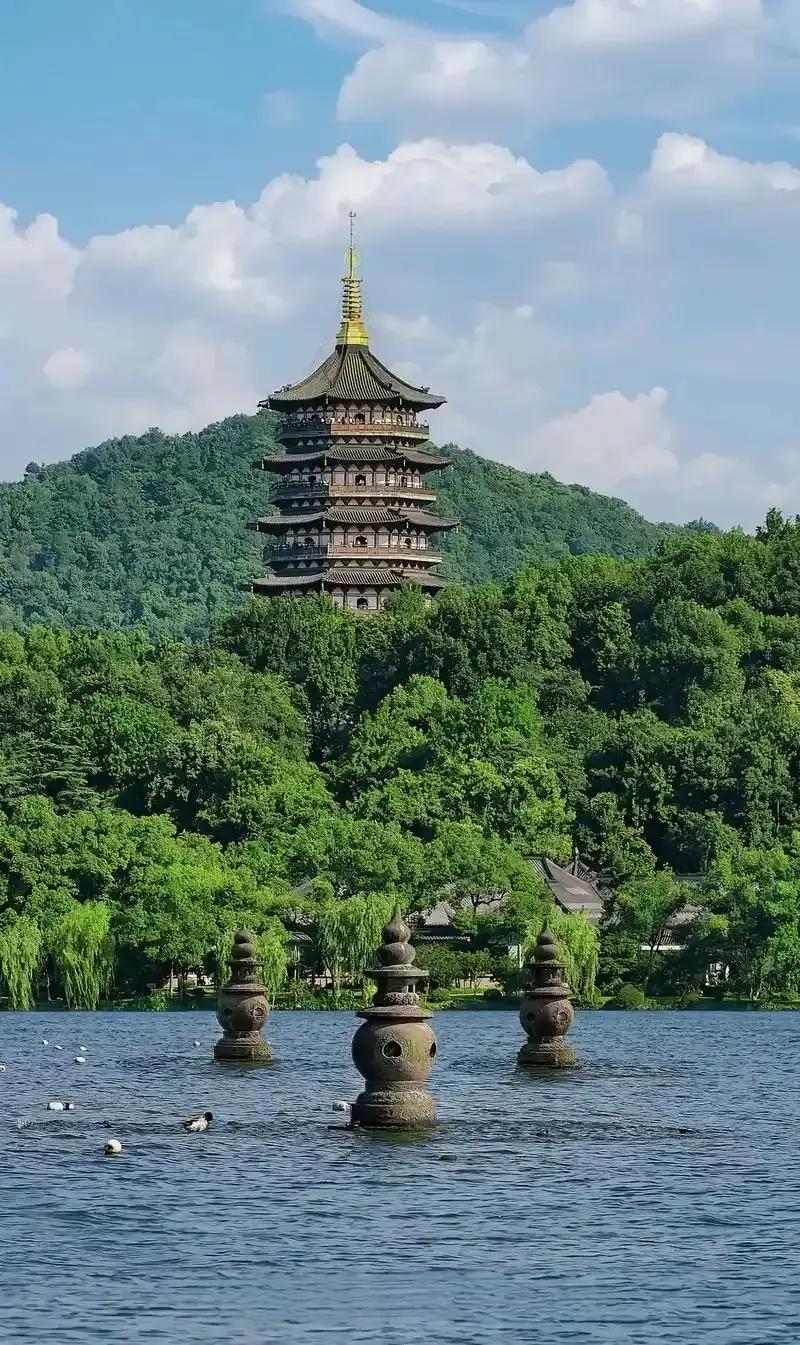 杭州靠什么出圈？答案藏在树里、路里和西湖里！杭州，一个总在“出圈”的城市