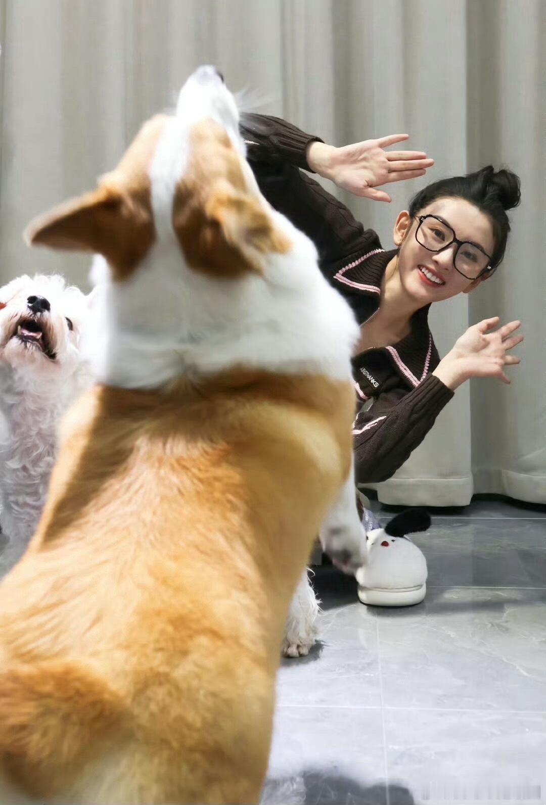 和狗狗玩耍的宋祖儿这一瞬间的画面也太美好了！居家感十足​​​