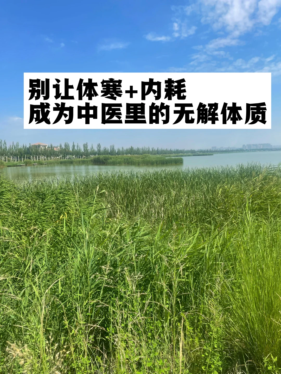 体寒+内耗基本属于中医里的无解体质