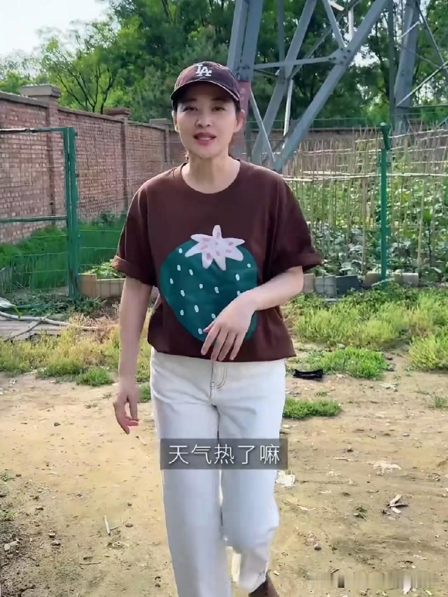 梅婷家有一个大菜园子，这个菜园子的菜都是她的公公种的，梅婷没事的时候也过来帮公公