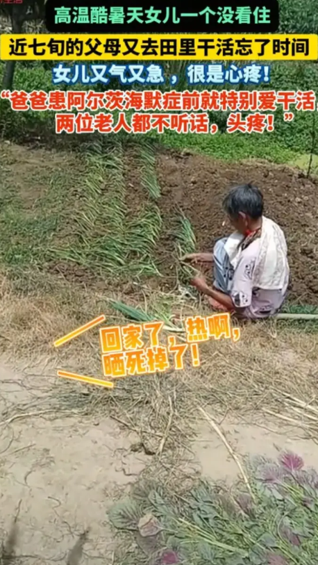 7月11日，安徽蚌埠。女儿刘女士发布一段视频，高温天气下，年近七旬的父母跑到田里