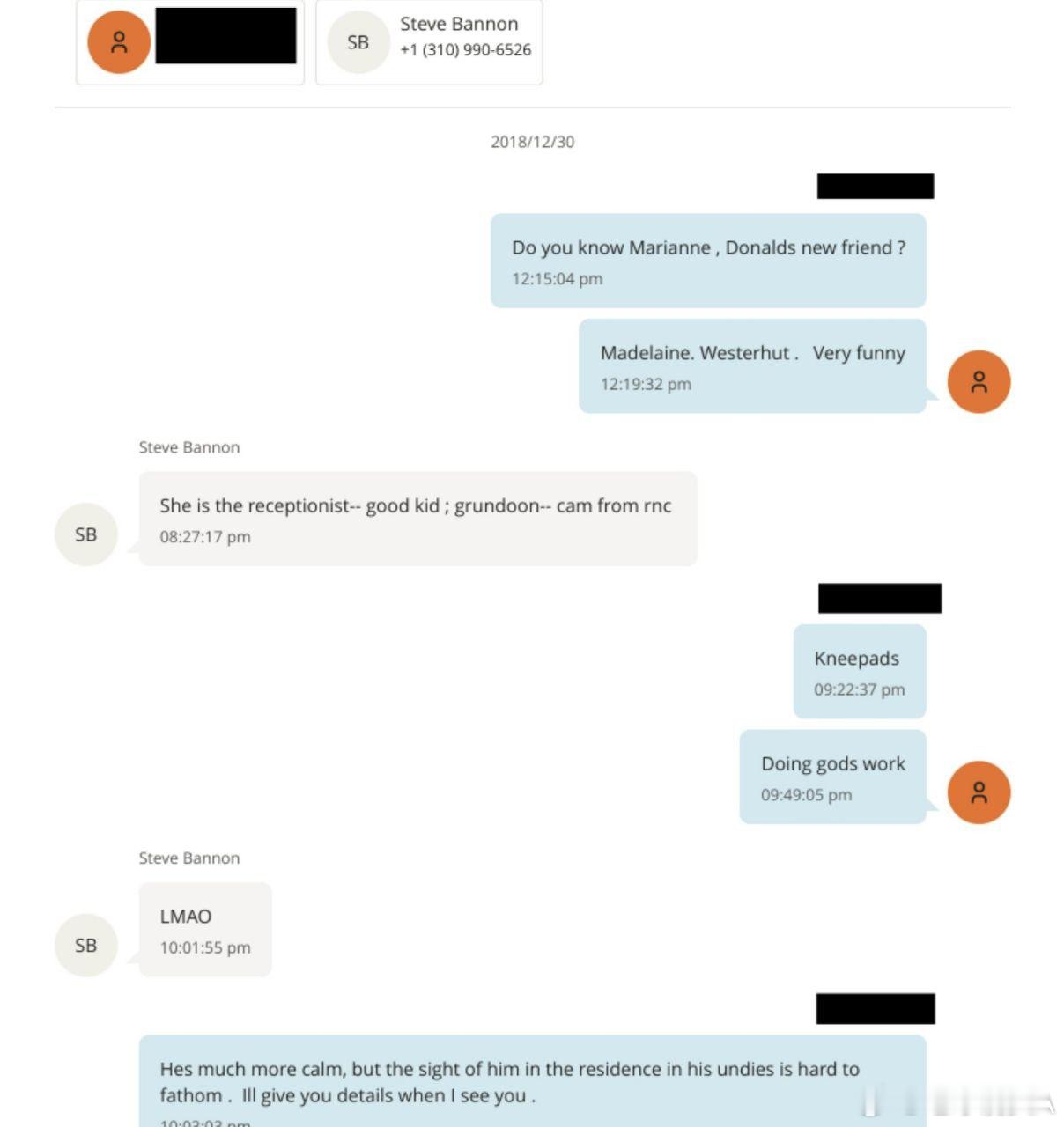 爱泼斯坦文件公布在史蒂夫・班农和杰弗里・爱泼斯坦的一次短信交流中，两人谈及特朗