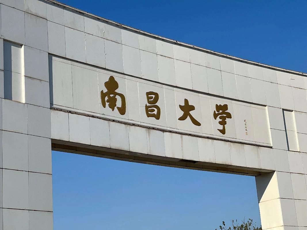 南昌没有985高校，全省唯一的211+双一流是南昌大学（NanchangUni