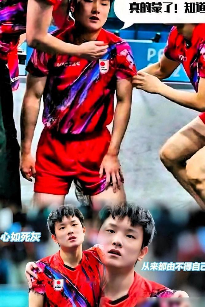看到张本智和落选的消息，我笑了。日本乒协这次是真没惯着他。世界杯团体赛，户上隼辅