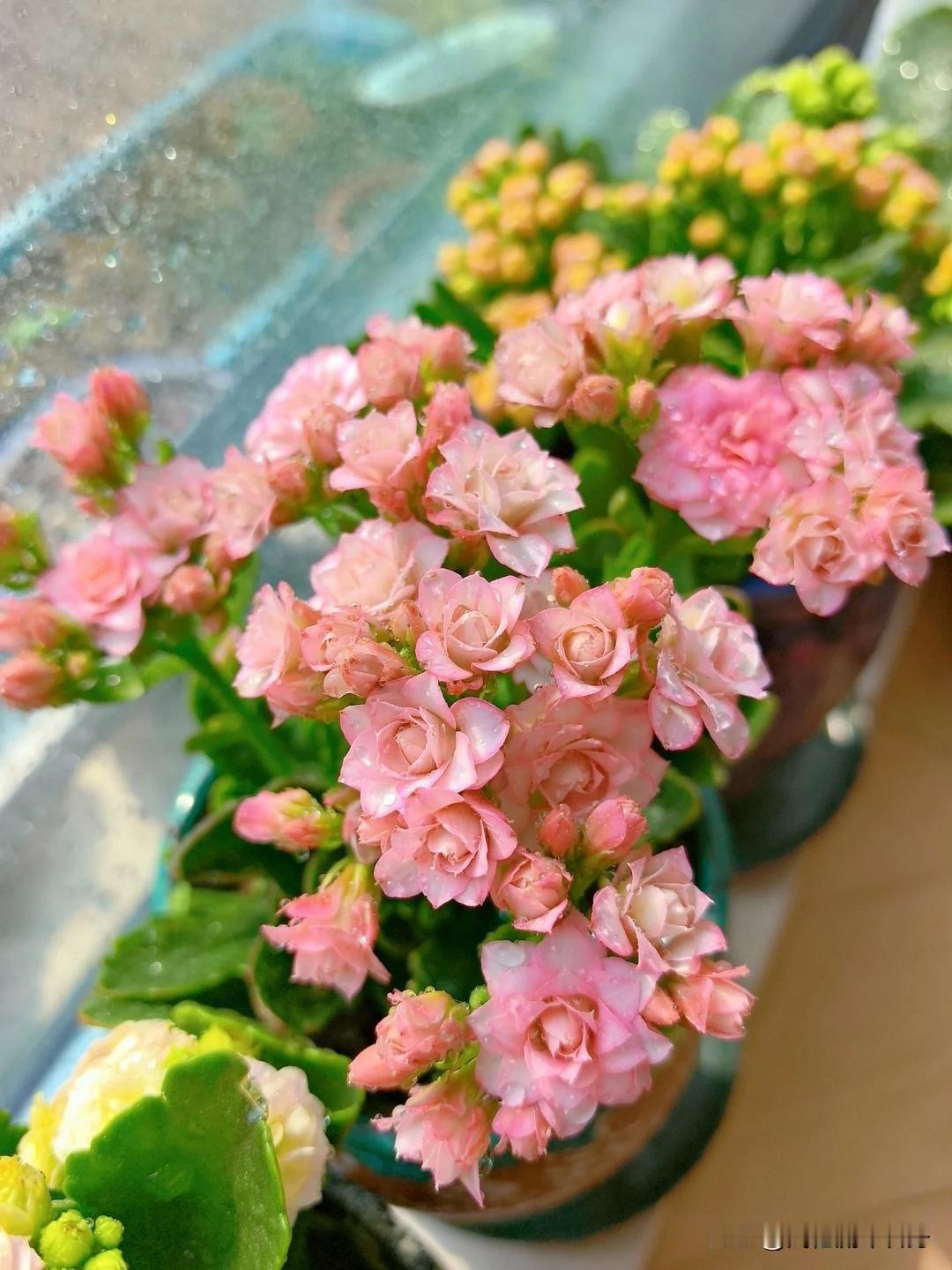 朋友家女儿34岁了，媒人给她介绍了一个男朋友，相识没有几天，两人就住在了一起！朋