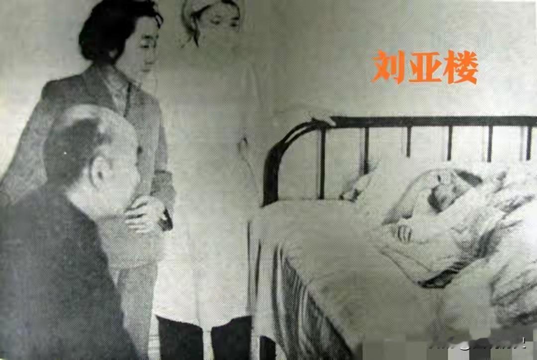 开国上将刘亚楼1965年的一天，开国上将，空军司令员刘亚楼将军身患重病，躺在