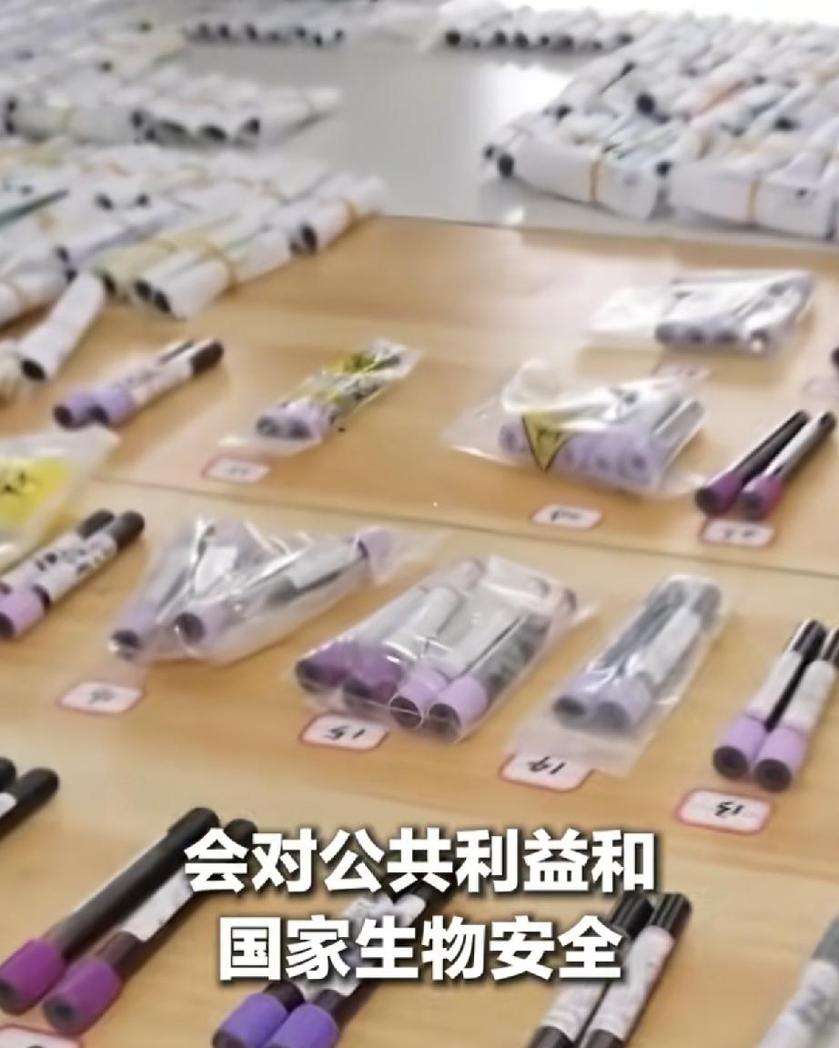 触目惊心！10万份孕妇血样被走私出境，绝非简单查性别近期，广州海关侦破一起