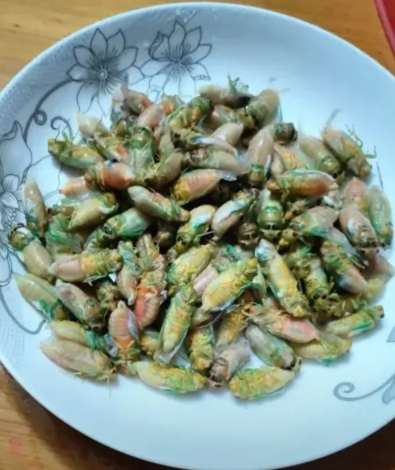 来朋友家，上了一道这样菜，有知道这是啥的嘛