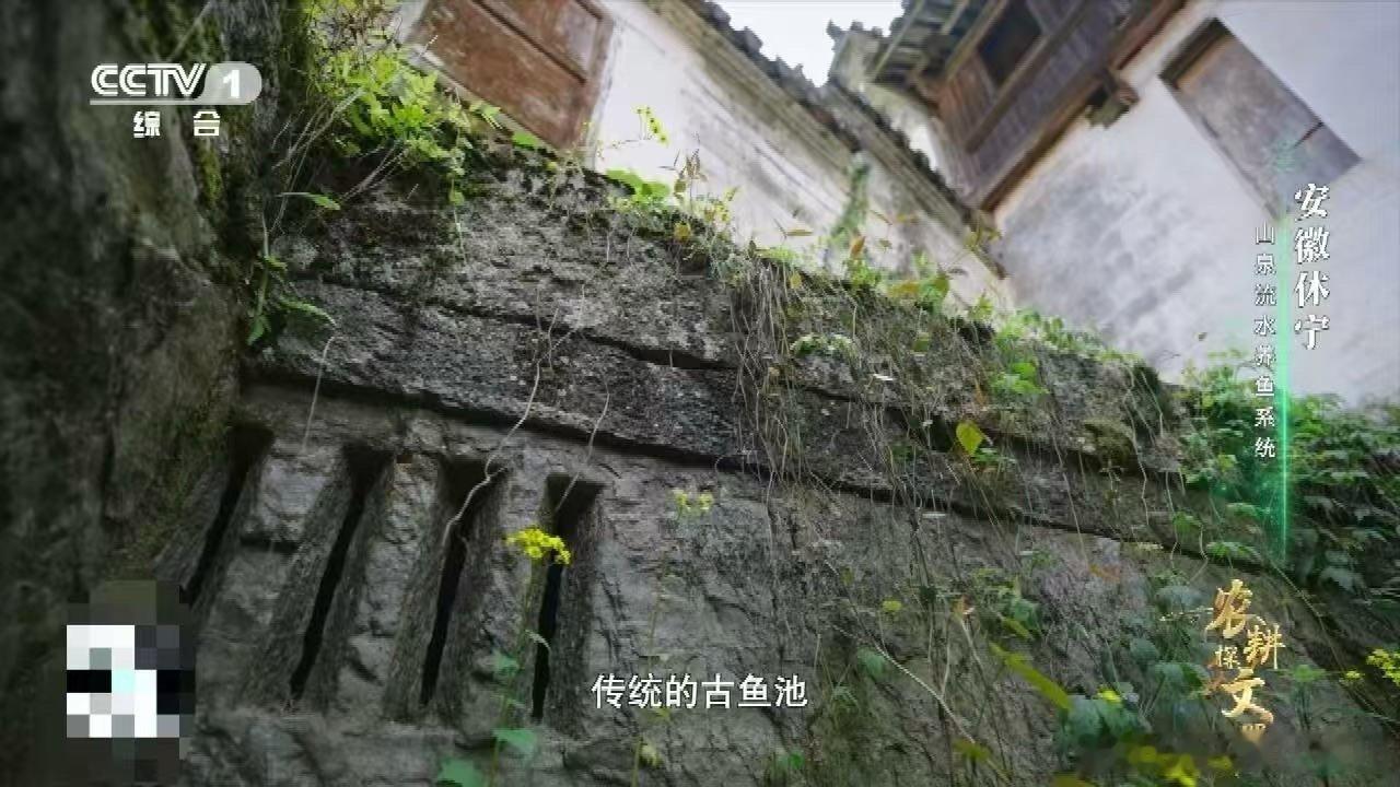 中国古人养鱼用流体力学古代黑科技让现代人都惊叹！巧妙的水道布局形成天然环流，水