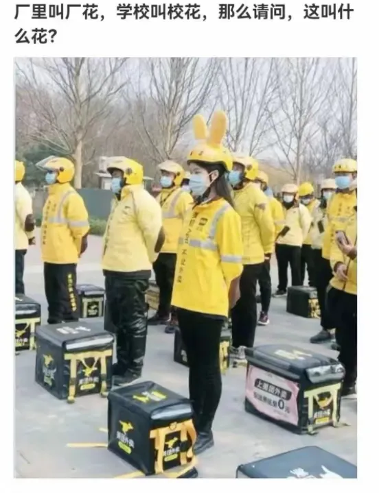 厂里的美女叫厂花，学校的叫校花，那外卖员里叫什么花？