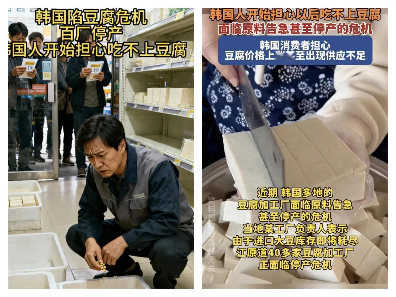 韩国人居然连豆腐逗吃不上了。