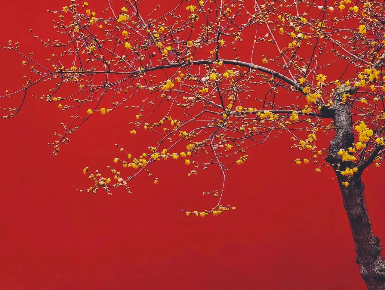 今天一个高一的学生家长跟我沟通，说寒假要不要把语文上一上？我向来的观点还是一样的