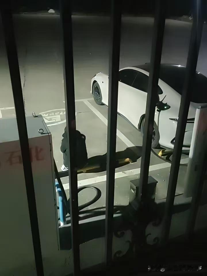 夜黑风高，这位新能源车车主不知让多少人产生了共鸣。照片是夜晚11点时候照的，那