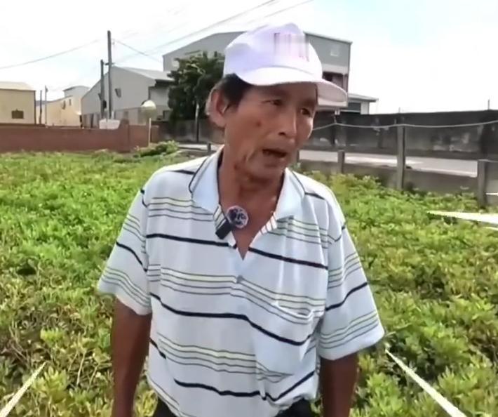 云林县花生农站在自家花生地里非常生气的通过媒体质问民进党当局称，你们下来看看再说
