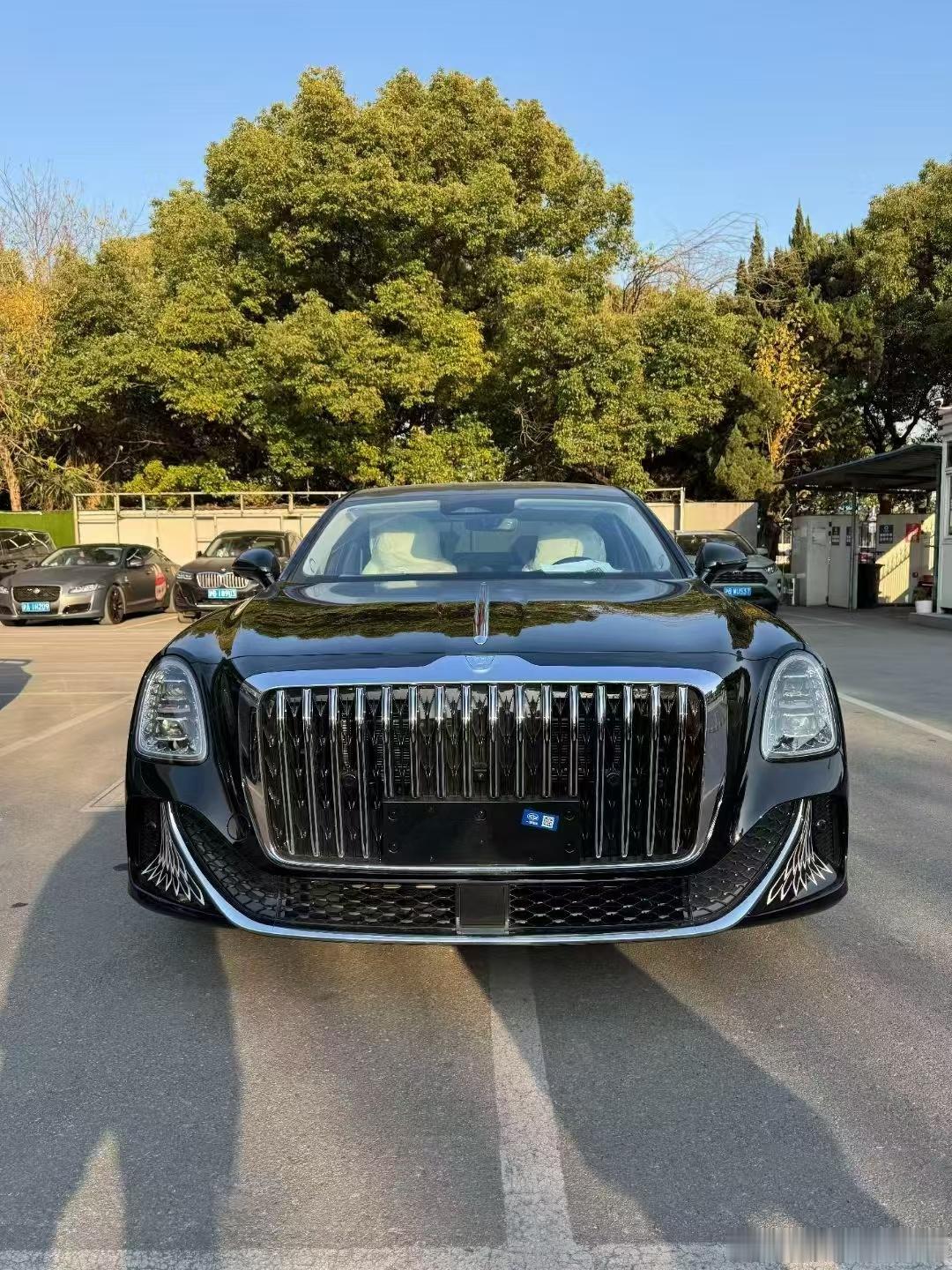 红旗国雅4.0V8，配色与配置、绝绝子、谁不迷糊！车衣！​​​