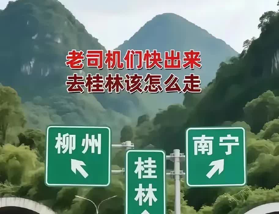 新手高速首秀直接翻车！第一次独自上高速，就被这“迷宫式”路口整懵了😭路牌