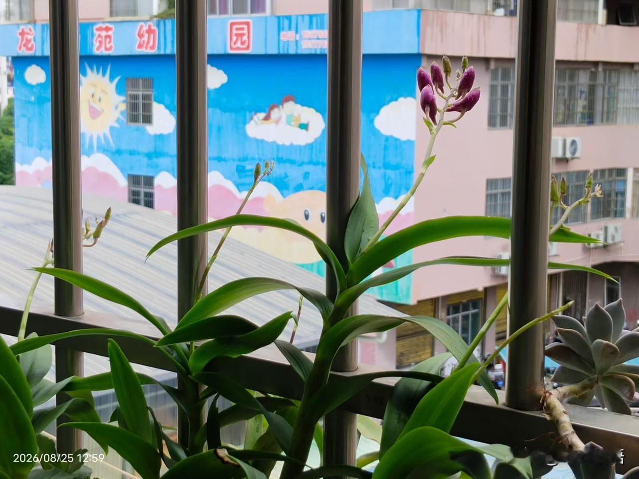 性学家说：“性欲不是刚需，不吃饭会死，不喝水会死，但是如果一个人没有男欢女爱，他