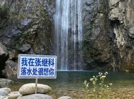 “我在张继科落水处很想你”? 景区最新回应