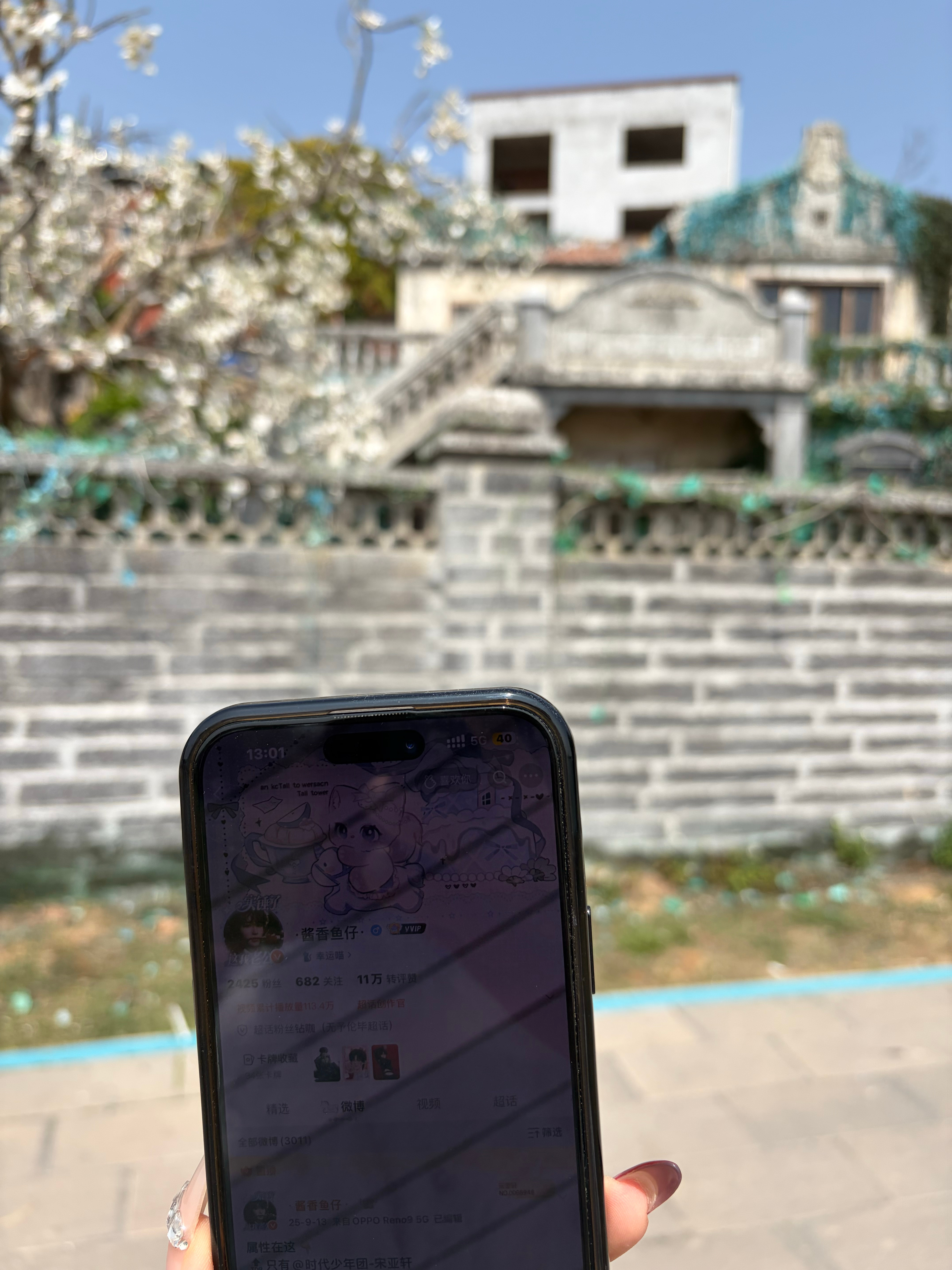 好感动~猪猪带我回家了