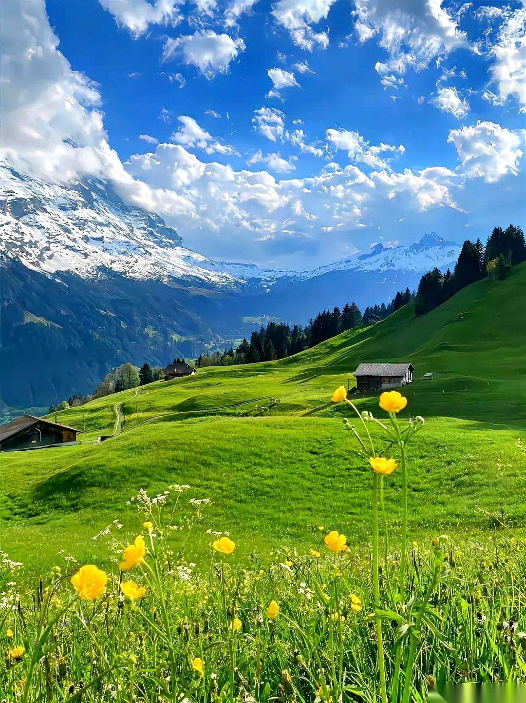 “羊：蓑衣萝卜。”看到这句，我直接在被窝里笑出了声。什么玩意儿？蓑衣萝卜？是