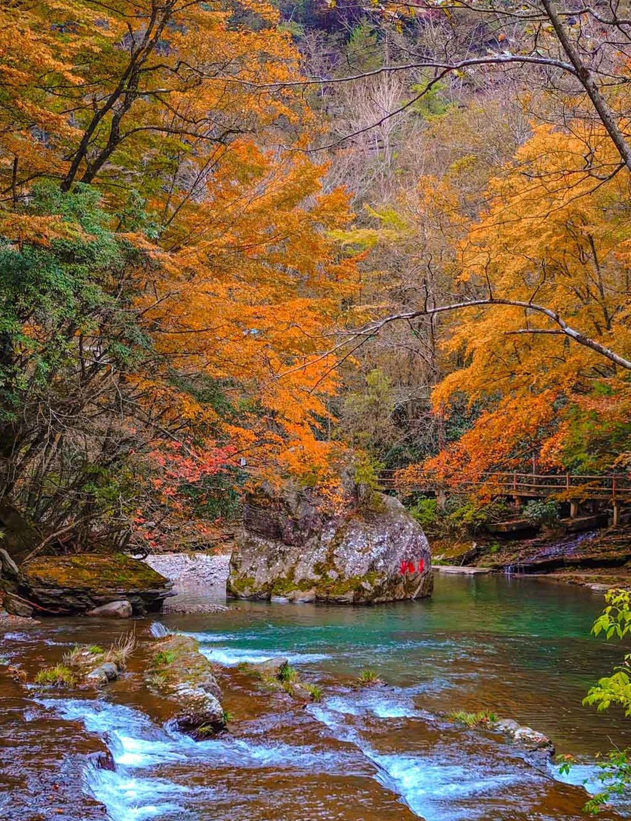 10.30实拍|今年真的强推黎坪！！！西安周边藏着个“小九寨”级别的秋日秘