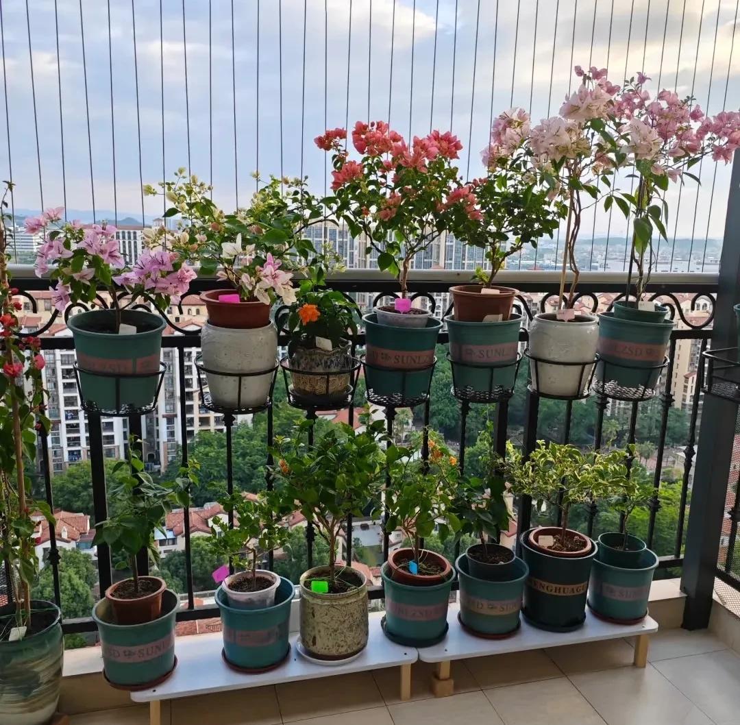 40岁的我不喜欢社交，我就喜欢待在家里，每天早上除了送孩子上学，或者去公园