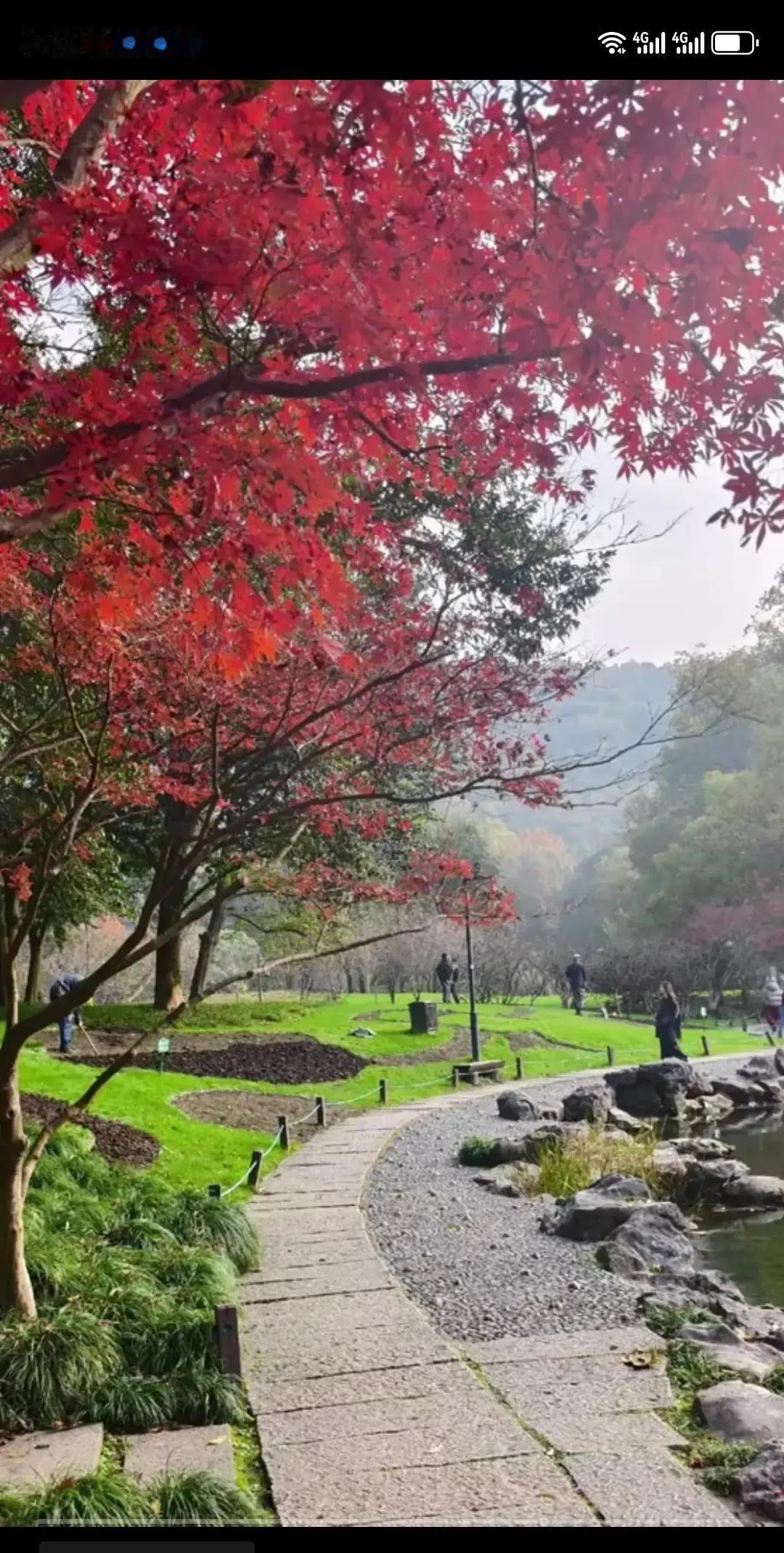 23岁的小李在家待业半年，爸妈急得团团转。中考没上普高，先去学理发，嫌没前途又