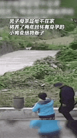 “可怕的控制欲？”湖北天门，一母亲趁儿子不在家，将儿子养了两年且怀有狗宝宝的小狗