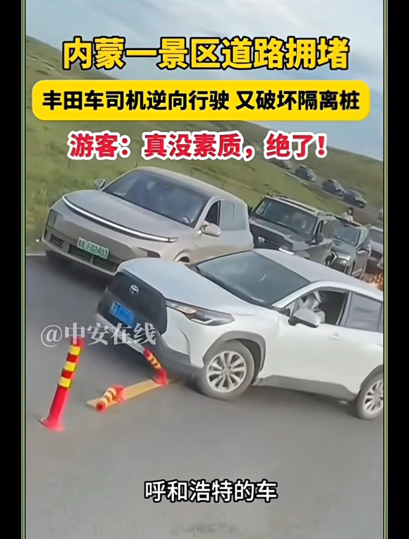 视频里有一台理想！标题里说了没素质！果然理想车主都是……哦对不起，说的是丰田，理