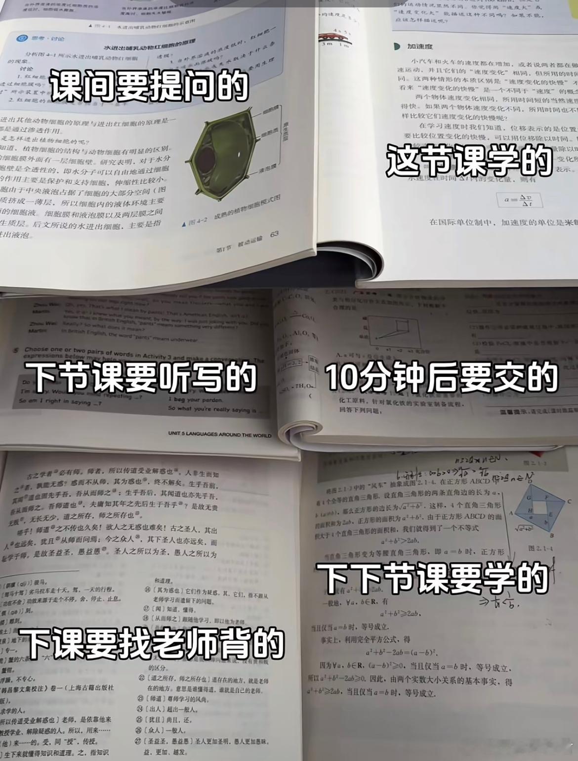 这是上过学的