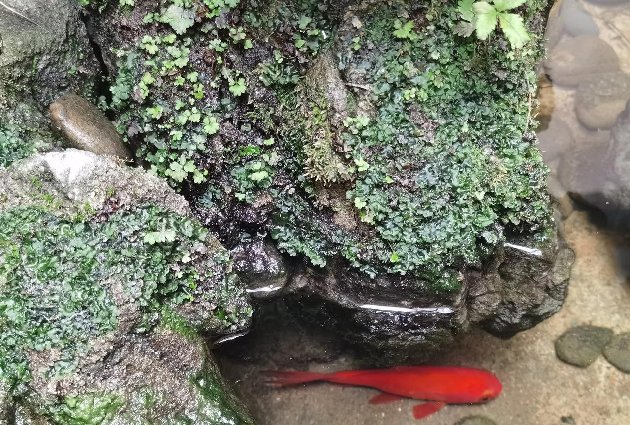 忙了半个月写了一篇论文出来，专程去太原和主编聊了许久，然后就回酒店修改论文，昨晚