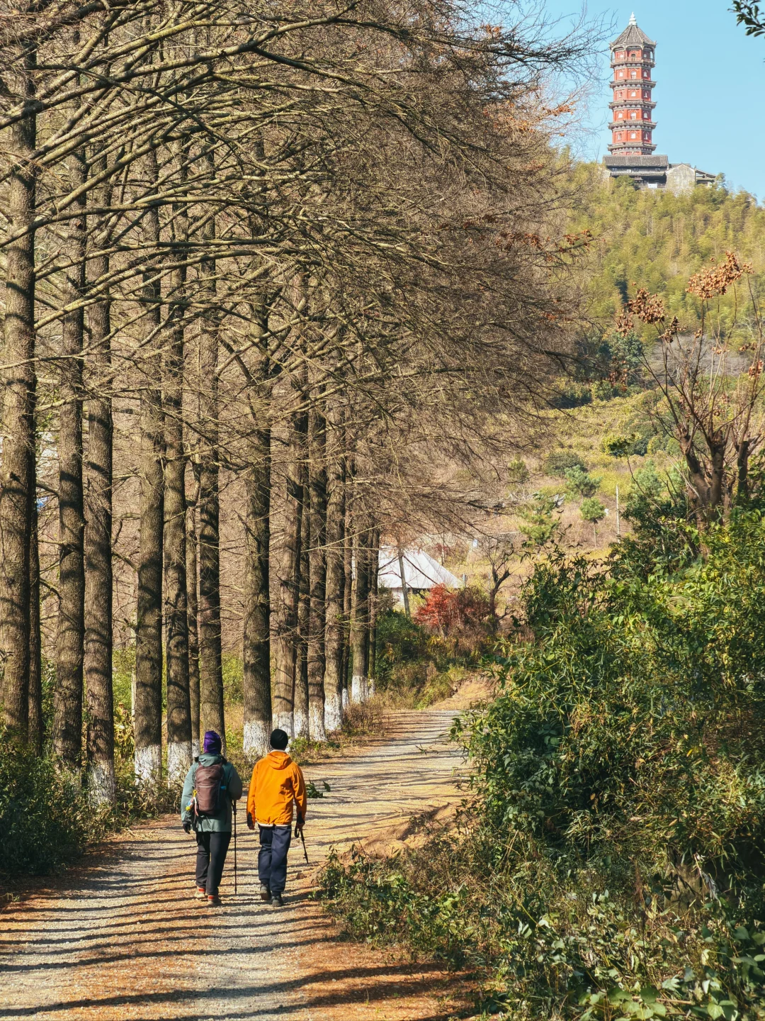 禅意山水间|少白岭古道环线|亲子徒步推荐
