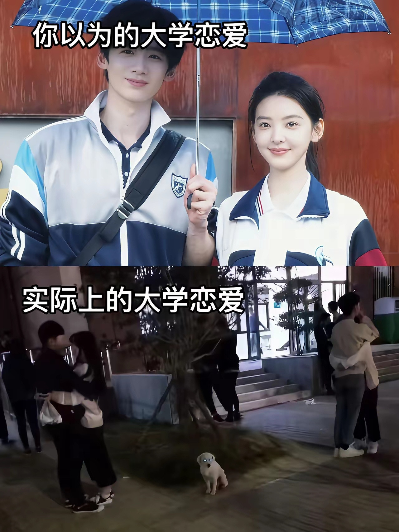 你以为的大学生活跟实际的大学生活大学生活​​​