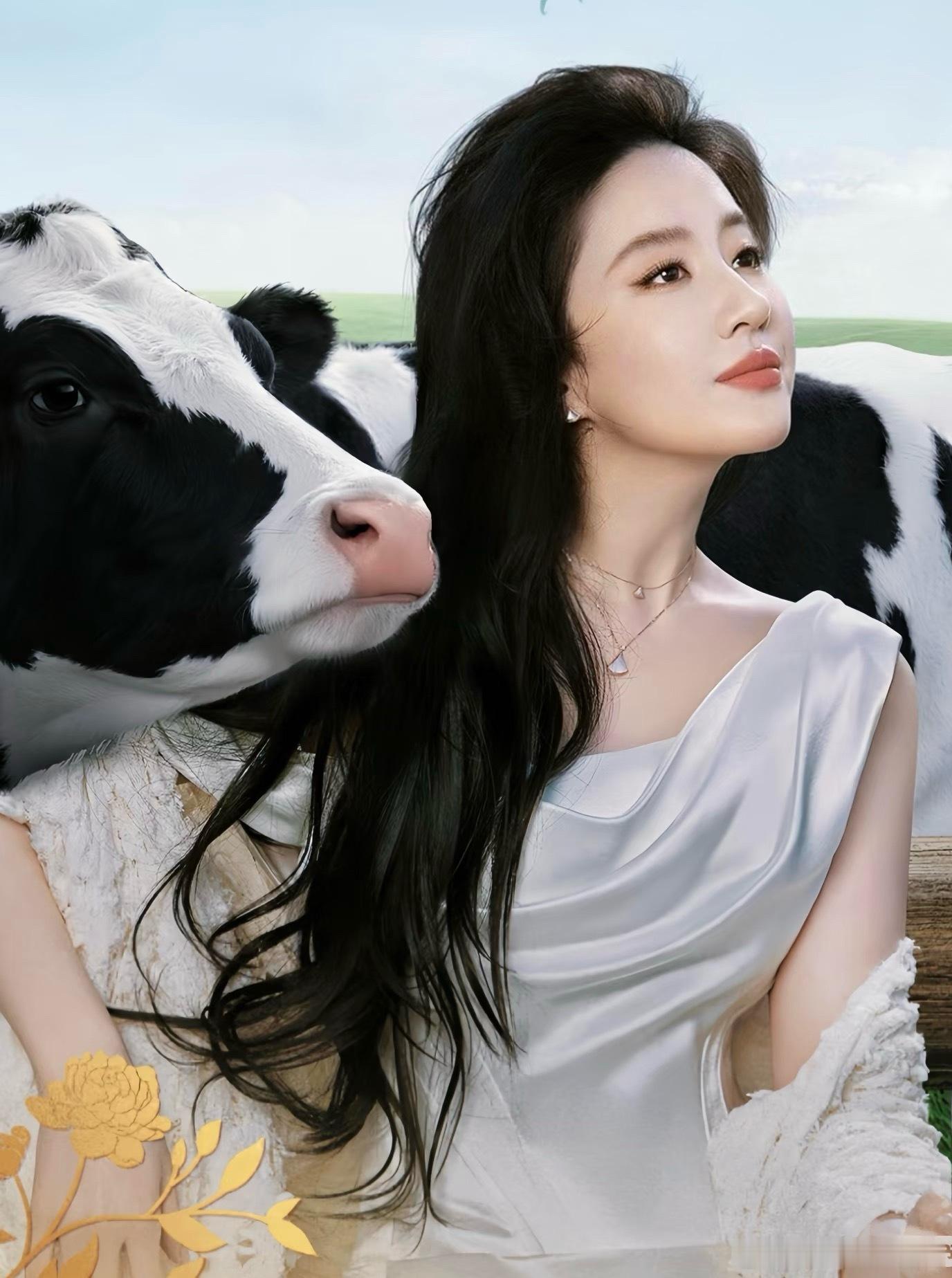 刘亦菲的ip效应强大到belike