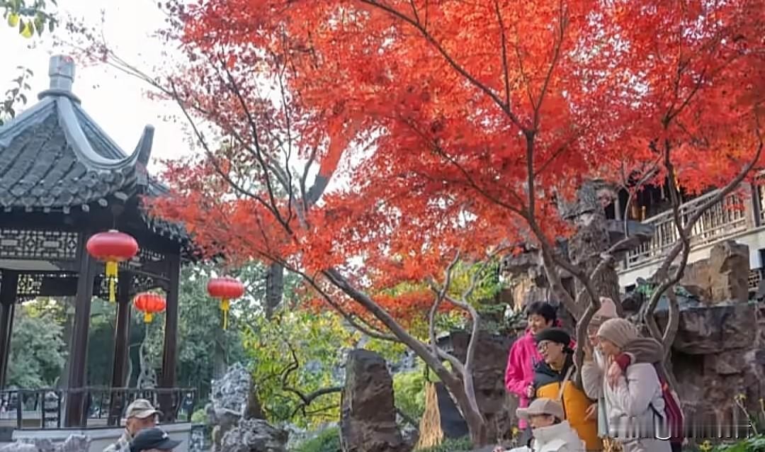 水韵江苏赏秋地图官宣！扬州4地美到窒息🍂江苏省文旅厅直接把秋日浪漫焊死了