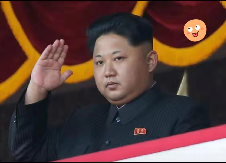 美国国家情报总监今天（美国时间3月18日）表示，金正恩“可能”正在“短时间内”进