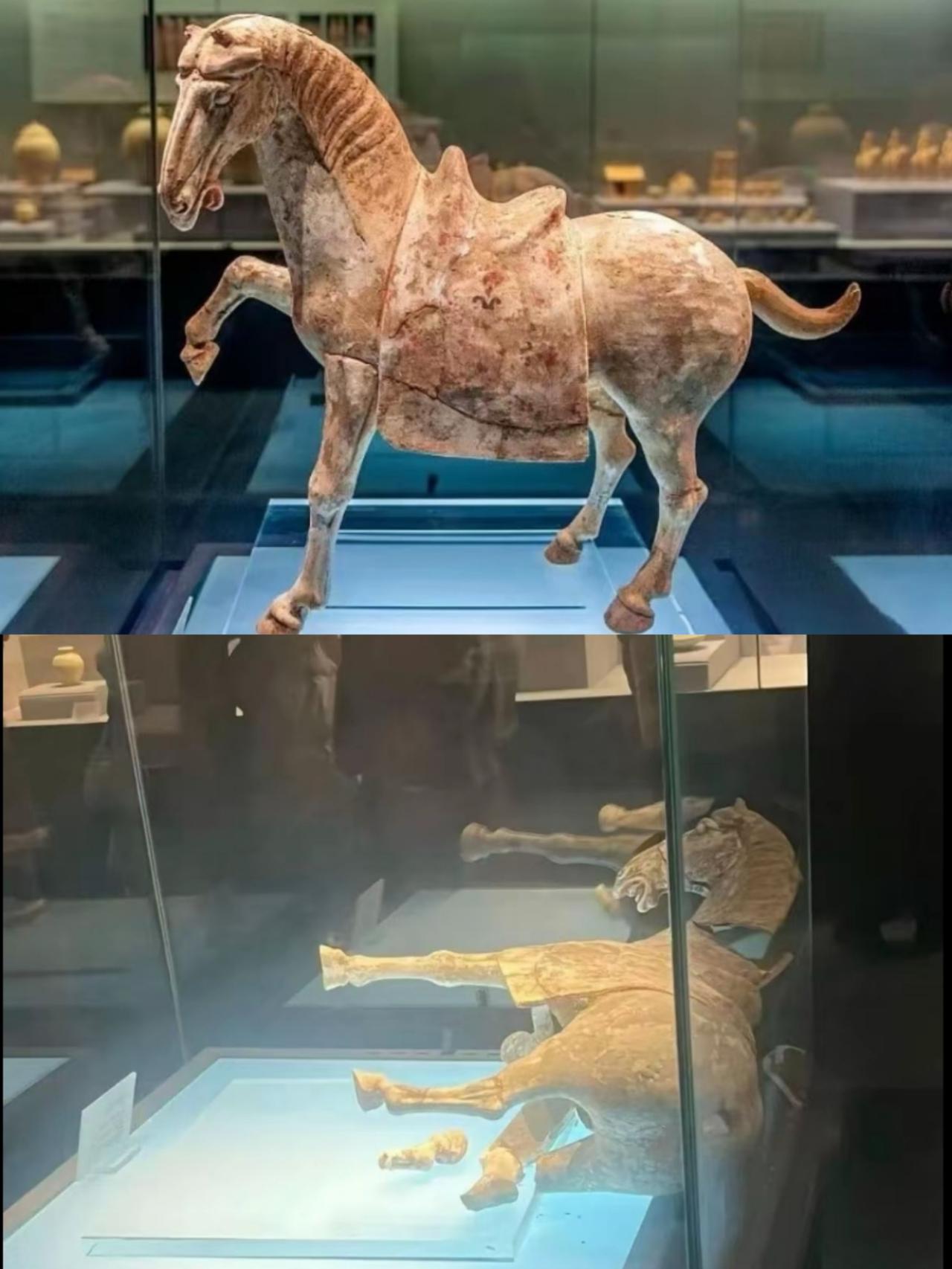 一觉醒来又有文物出事情2026年元旦，某博物馆展厅里面的唐代彩绘贴金陶马，居