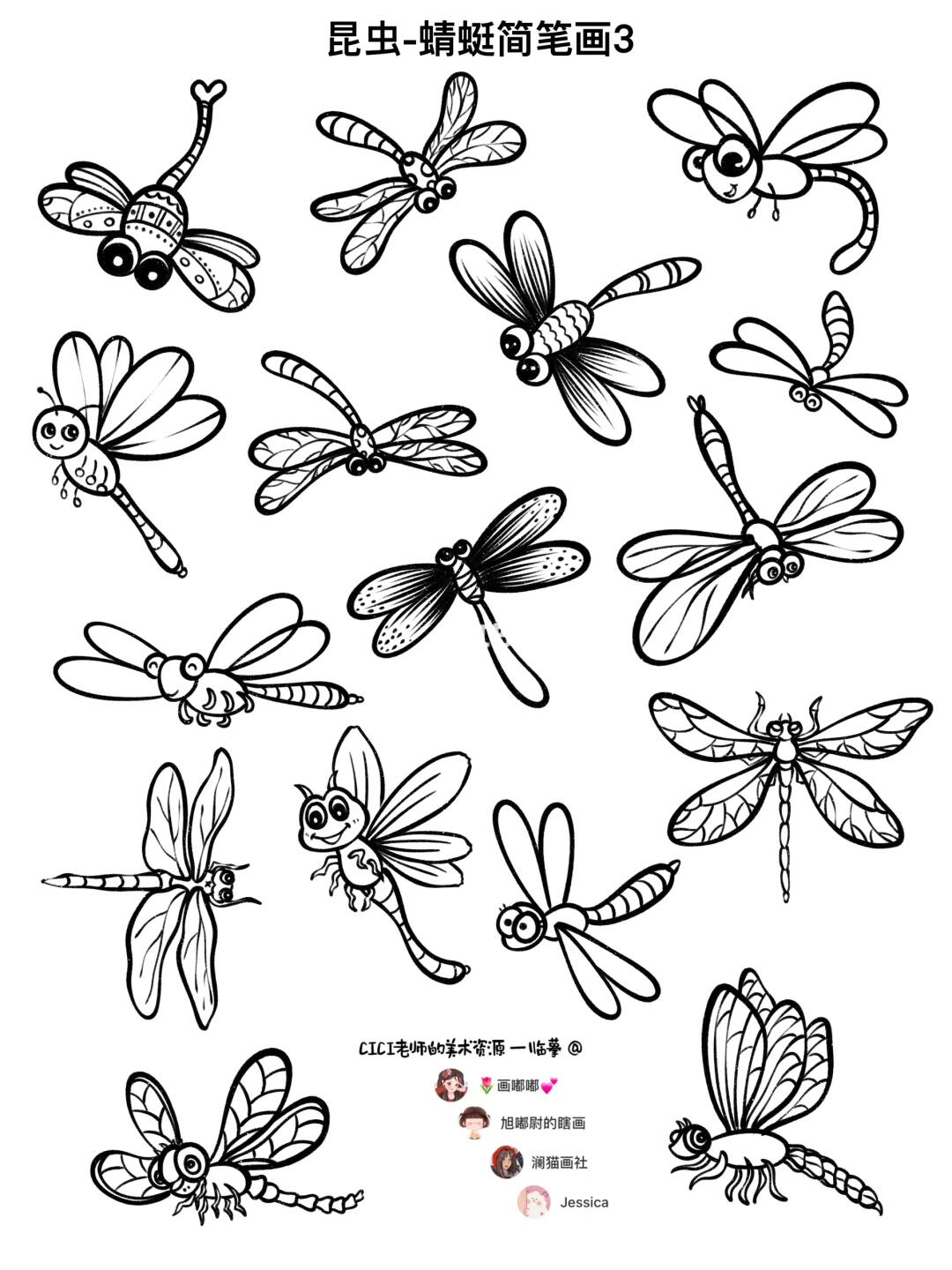 简笔画｜昆虫-蜻蜓3