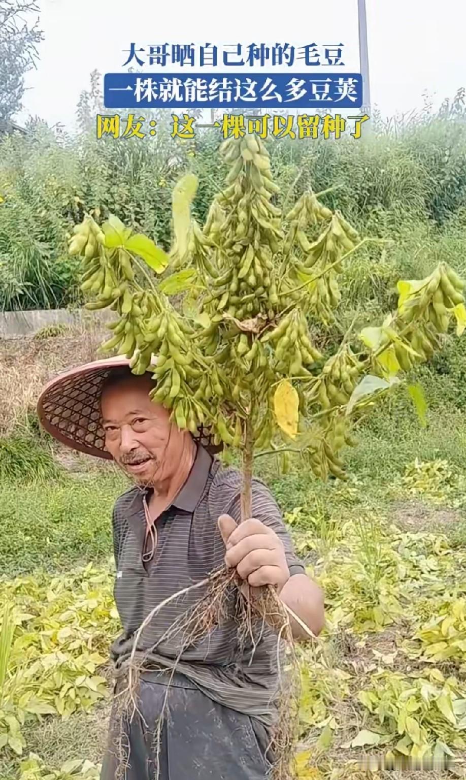 这满满的成就感