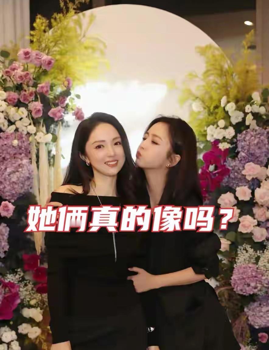 董璇和佟丽娅站在一起，说是双胞胎都有人信。可长相像只是表面，真正稀罕的是那份心贴