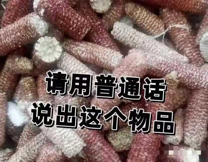 应该没几个会叫的