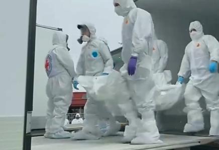 4月9日，俄乌双方又进行了新一轮阵亡人员遗体的交换。此次交换中，乌克兰接收了10