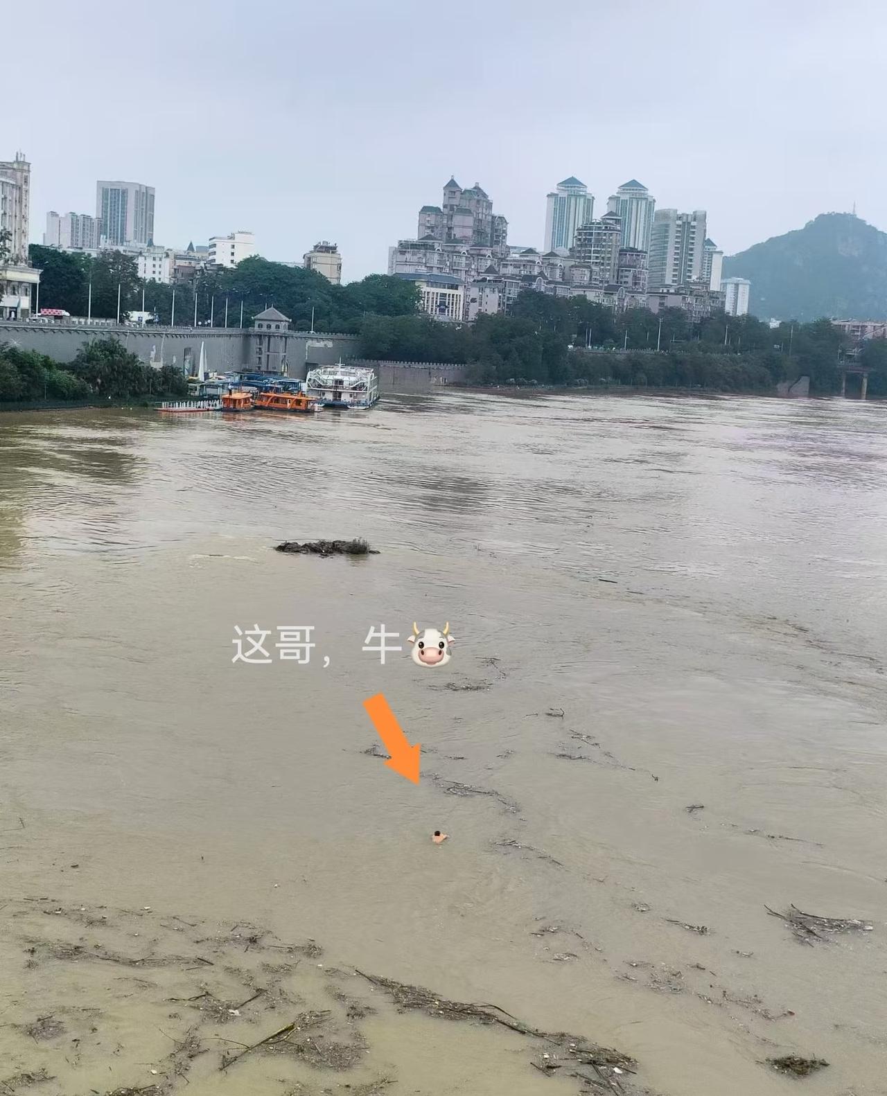 柳州人洪水中的“松弛感”柳州这个季节，每年都会有一定的洪涝灾害，已经是属于见