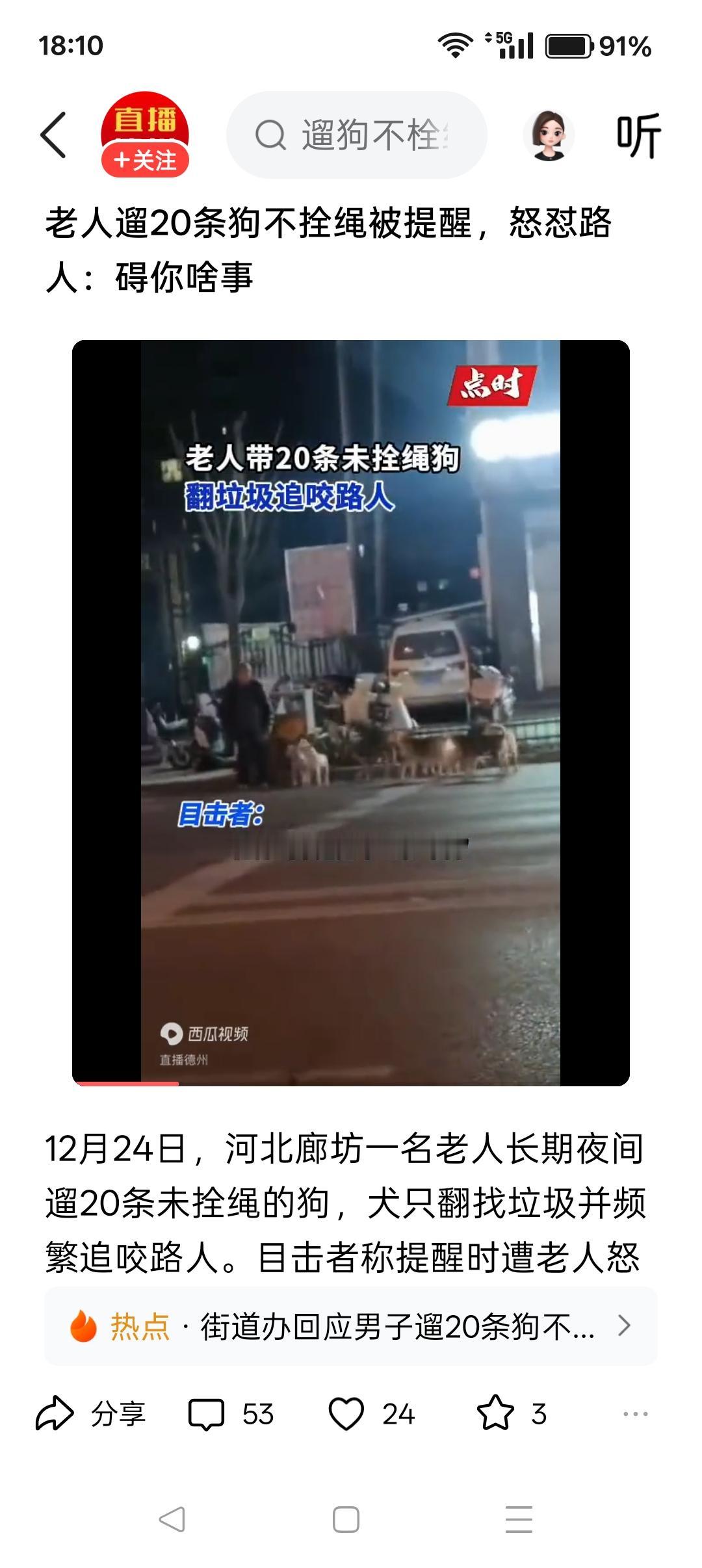 带20条狗遛街，不拴绳，放任狗群追咬路人，这是人仗狗势！12月24日，河北廊